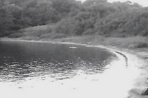 Bilde av Isdrift - Dammen ved Hafallen